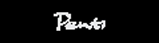 Penti Azerbaycan logo